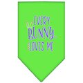 Mirage Pet Products Every Bunny Loves Me Screen Print BandanaLime Green Large 66-188 LGLG